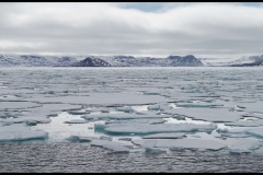 Sea Ice